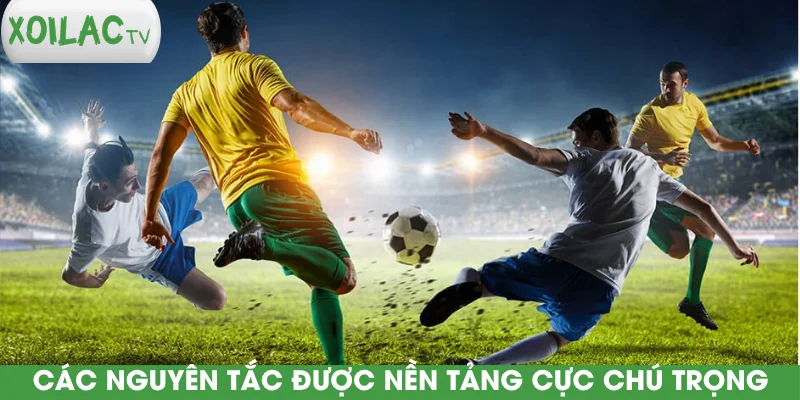 cac-nguyen-tac-duoc-nen-tang-cuc-chu-trong
