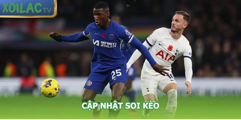 cap-nhat-soi-keo-chelsea-vs-tottenham