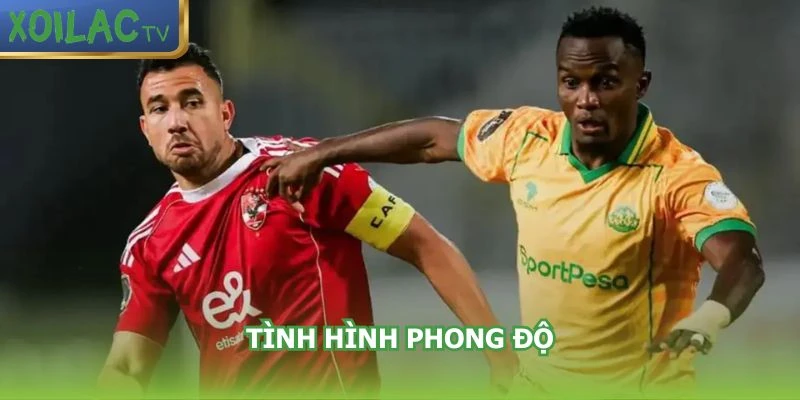 phong-do-gan-day-al-mokawloon-al-arab-vs-wadi-degla-fc