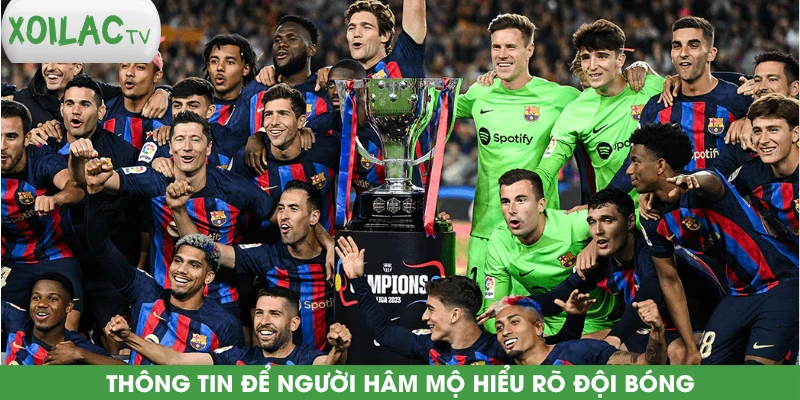 thong-tin-de-nguoi-ham-mo-hieu-ro-doi-bong