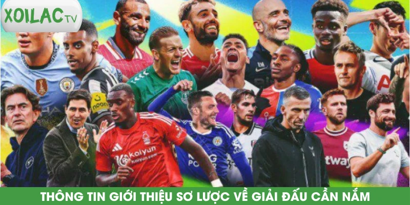 thong-tin-gioi-thieu-so-luoc-ve-giai-dau-can-nam