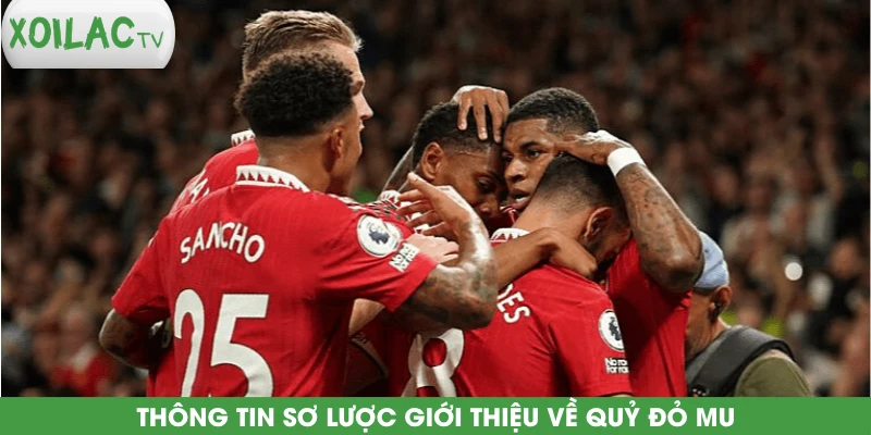 thong-tin-so-luoc-gioi-thieu-ve-quy-do-mu